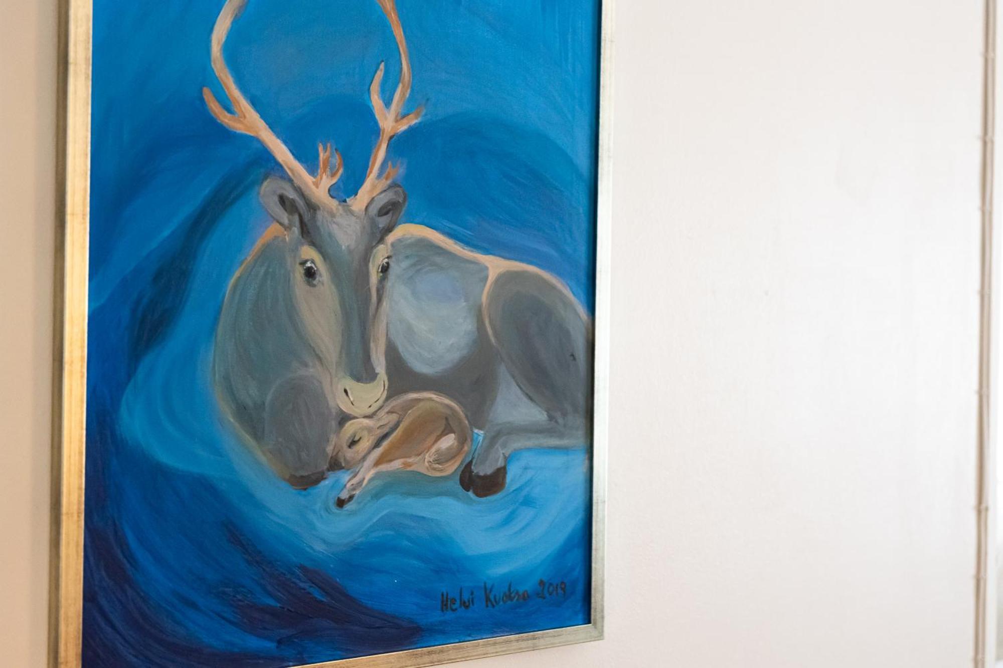 Lapland Appartamento *
